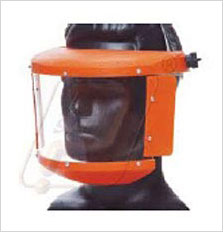 Face Protection